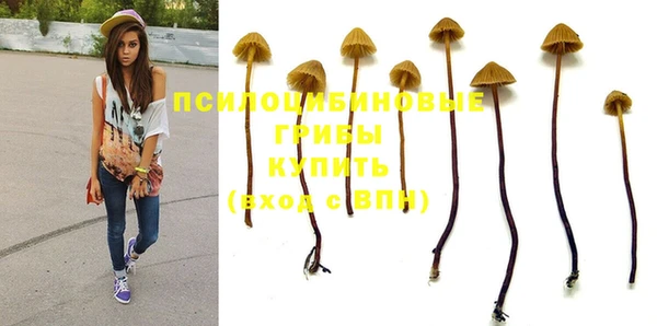 мяу мяу мука Алексин