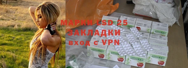 дживик Алзамай