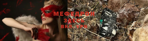 прущие грибы Алексеевка