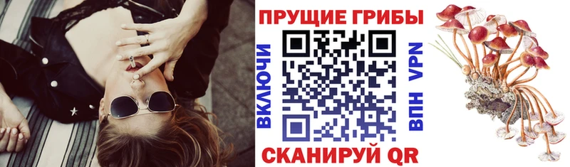 МЕГА ссылки как найти наркотики Уфа Галлюциногенные грибы мухоморы